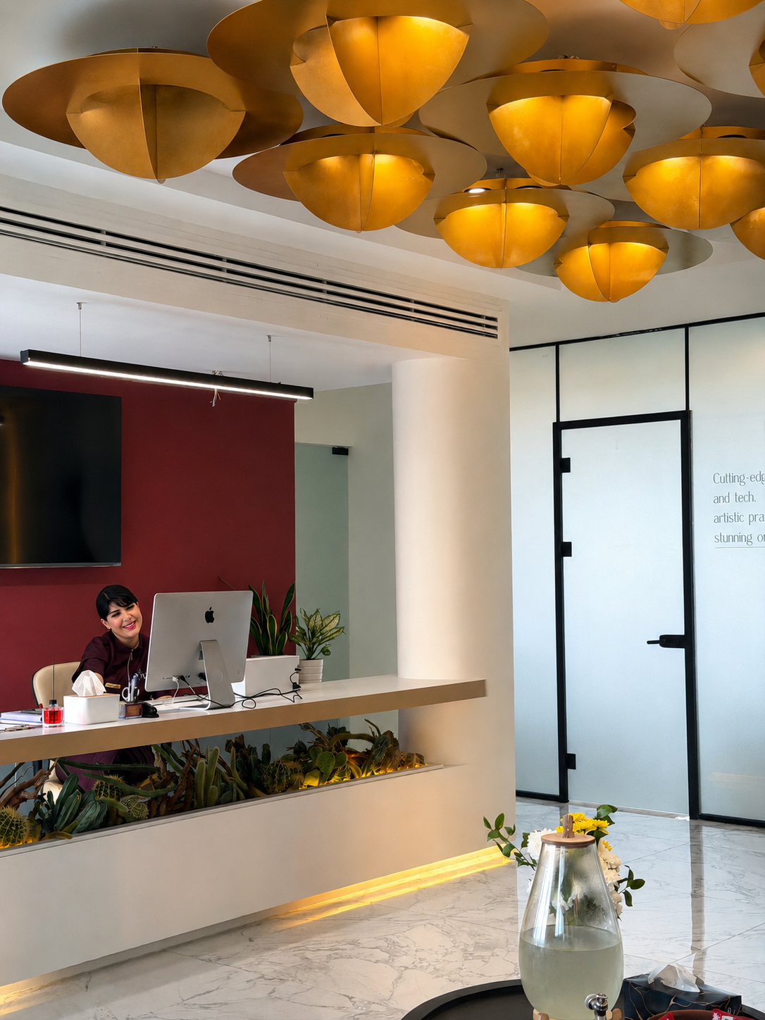 Niva clinic